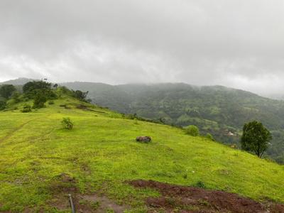 Image of 16727 Sq.ft Residential Plot / Land for sale in Panshet, Pune for Rs. 5850000