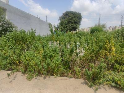 BDA Affordable Housing Scheme Salaiya Plot View 1