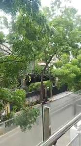 Balcony Image of 3000 Sq.ft 3 BHK Independent House for rent in Arera Colony Bhopal for Rs. 55000