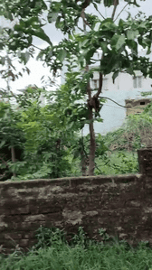 Image of 435 Sq.ft Residential Plot / Land for sale in Pandra, Ranchi for Rs. 2100000