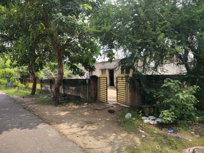 Cassia Fistula Estate Plot View 2