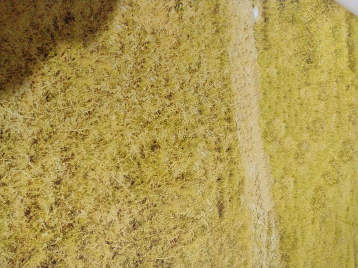 Hero Alaknanda Main Image 1