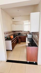 Kitchen Image of 1500 Sq.ft 3 BHK Apartment / Flat for rent in Sushma Chandigarh Grande, Gazipur Zirakpur for Rs. 30000