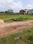 Swapnabhumi Internal Roads 2