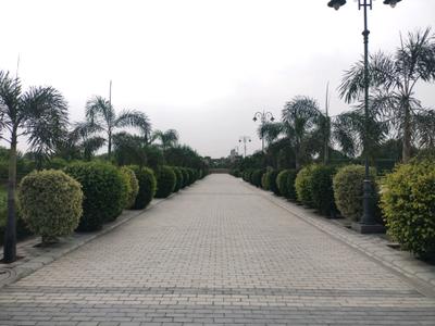 Mansha Oaks Internal Roads 1