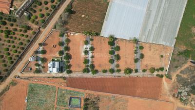 Residential Plot