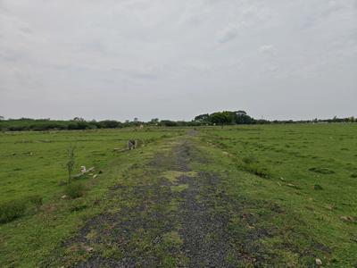 Image of 690 Sq.ft Residential Plot / Land for sale in Singaperumal Koil, Chennai for Rs. 1034311