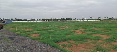 Buchireddypalem Plot View 2