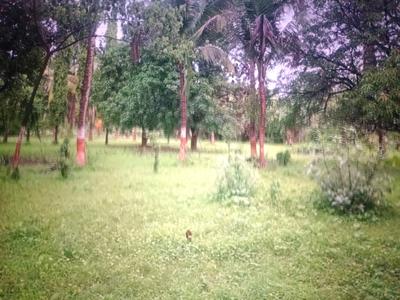 Image of 1089 Sq.ft Residential Plot / Land for sale in Mothijui, Navi Mumbai for Rs. 568000