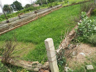 Image of 11152 Sq.ft Residential Plot / Land for sale in Kushehri, Unnao for Rs. 1200000