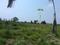 METRO PLEXCITY Plot View 2