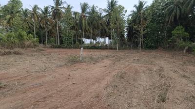Image of 11454 Sq.ft Residential Plot / Land for sale in Hadjana, Mysore for Rs. 13000000