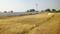 Ojhar Plot View 2
