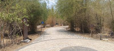 Image of 1356 Sq.ft Residential Plot / Land for sale in Mihan, Nagpur for Rs. 4793000