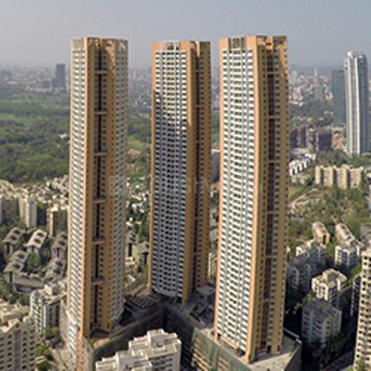 DB Woods Main Image 1