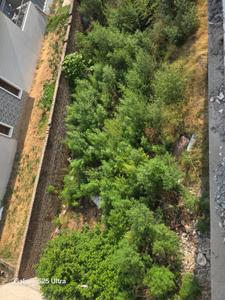 Image of 1800 Sq.ft Residential Plot / Land for sale in Sector 123, Mohali for Rs. 17000000