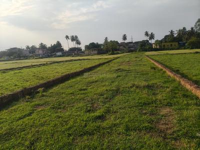 Image of 1600 Sq.ft Residential Plot / Land for sale in Phulnakhara, Cuttack for Rs. 1875000