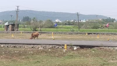 Image of 1000 Sq.ft Residential Plot / Land for sale in Othivakkam R.F., Chennai for Rs. 2600000