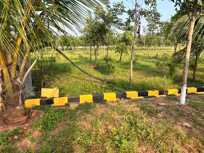 Image of 111 Sq.ft Residential Plot / Land for sale in Kothavalasa, Visakhapatnam for Rs. 666000