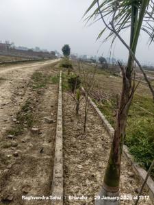 Bendow Plot View 2