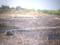 Punade Plot View 2