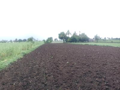 Image of 1089 Sq.ft Residential Plot / Land for sale in Panvel, Navi Mumbai for Rs. 705000