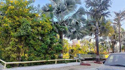 Image of 1215 Sq.ft 2 BHK Apartment / Flat for sale in Nipania, Indore for Rs. 6100000