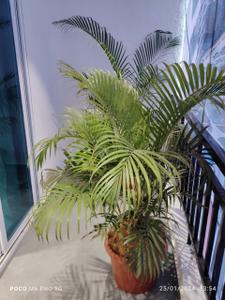 Balcony Image of 685 Sq.ft 1 BHK Apartment / Flat for sale in Ambernath West Ambernath for Rs. 3500000
