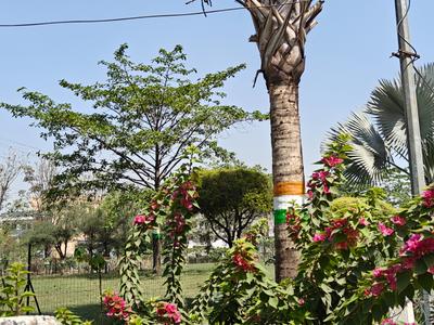 Image of 600 Sq.ft Residential Plot / Land for sale in Vijay Nagar, Indore for Rs. 5800000