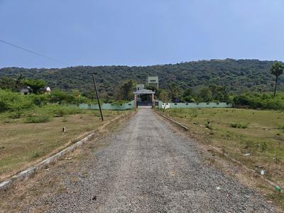 Residential Plot