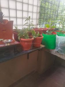 Balcony Image of 1400 Sq.ft 3 BHK Apartment / Flat for sale in Everjoy Properties Skywood, Uttarahalli Hobli Bengaluru for Rs. 8500000