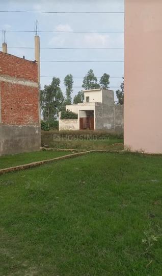Para Main Image 1