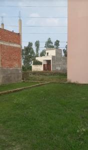 Para Plot View 1