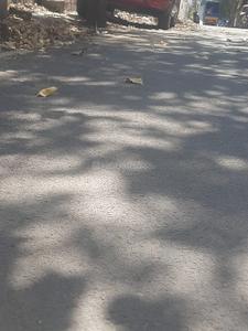 Image of 1200 Sq.ft Residential Plot / Land for sale in JP Nagar, Bengaluru for Rs. 17760000