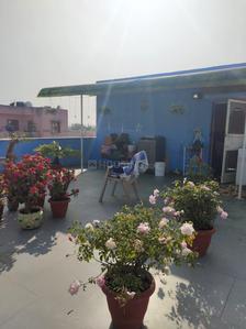 Balcony Image of 780 Sq.ft 1 BHK Apartment / Flat for rent in DDA Flats Sarita Vihar, Sarita Vihar New Delhi for Rs. 28500