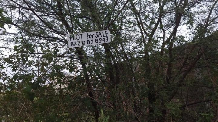 Malikhedi Main Image 1