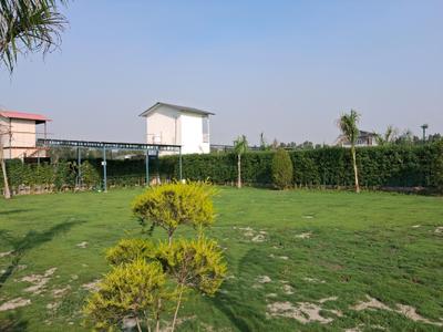 Playing Area Image of 9072 Sq.ft Residential Plot / Land for sale in Dkrrish Green Beauty Farms, Kidawali Noida for Rs. 9500000