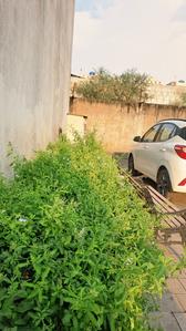 Image of 1930 Sq.ft 3 BHK Duplex for sale in Wallfort Panorama, Kamal Vihar, Raipur for Rs. 7500000