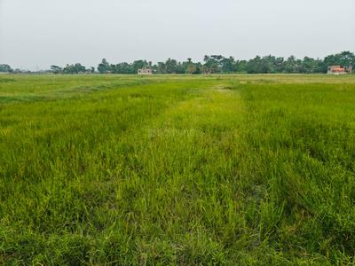 Image of 720 Sq.ft Residential Plot / Land for sale in Sonarpur, Kolkata for Rs. 190000
