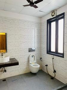 Bathroom Image of Olive Pg  in Sector 142, Noida