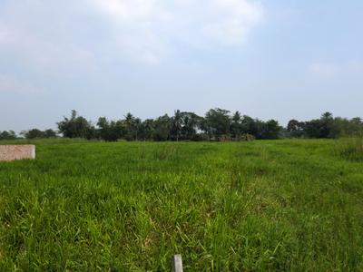 Image of 1440 Sq.ft Residential Plot / Land for sale in Nest Valley, Joka, Kolkata for Rs. 301092