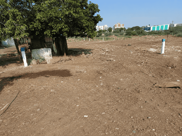 Ellis Nagar Main Image 1
