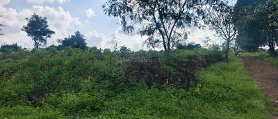 Image of 17500 Sq.ft Residential Plot / Land for sale in Dugaon, Nashik for Rs. 6800000
