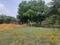 Madhavaram Milk Colony Plot View 2