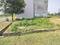 Residential Authority Plots Main Image 1