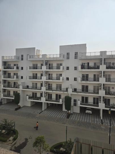 Central Cerise Floors Main Image 1