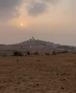 Image of 8000 Sq.ft Residential Plot / Land for sale in Pmpri Trimbak, Nashik for Rs. 15000000