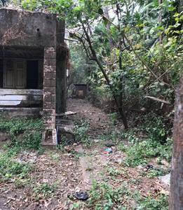 Image of 40000 Sq.ft Residential Plot / Land for sale in Bagmala, Alibag for Rs. 40000000