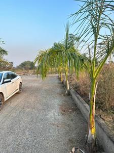 Image of 1000 Sq.ft Residential Plot / Land for sale in Naya Raipur, Raipur for Rs. 555000