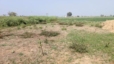 Image of 750 Sq.ft Residential Plot / Land for sale in Chirora, Patna for Rs. 1725000